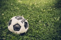 Soccer ball resting in the grass / photo by Johann Rösch